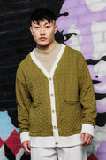 Olive Textured & Self Design V-Neck Knitted Cardigan